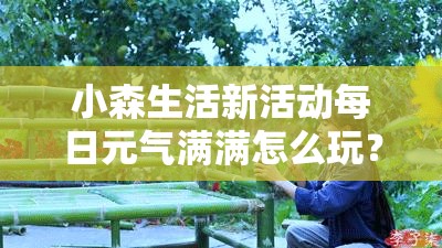 小森生活新活动每日元气满满怎么玩？从新手到精通全面攻略揭秘！