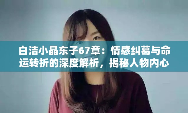 白洁小晶东子67章：情感纠葛与命运转折的深度解析，揭秘人物内心世界与故事发展