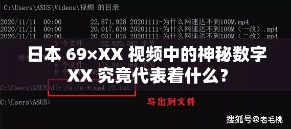 日本 69×XX 视频中的神秘数字 XX 究竟代表着什么？