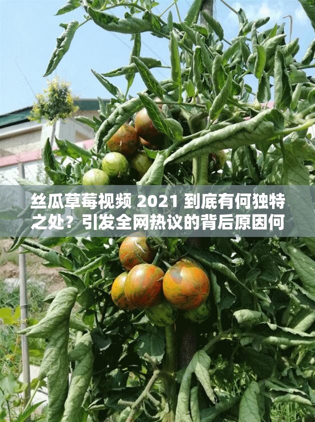 丝瓜草莓视频 2021 到底有何独特之处？引发全网热议的背后原因何在？