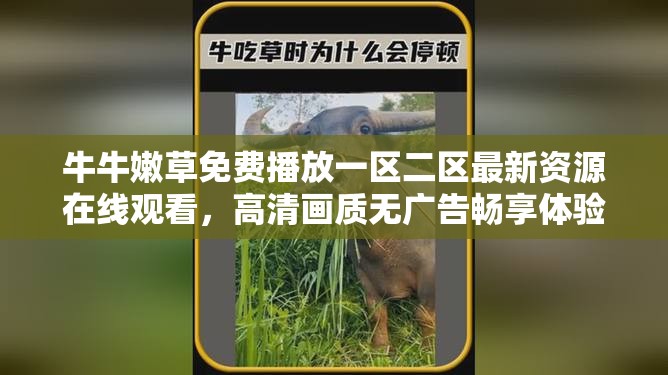 牛牛嫩草免费播放一区二区最新资源在线观看，高清画质无广告畅享体验