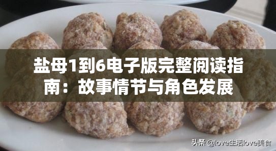 盐母1到6电子版完整阅读指南：故事情节与角色发展