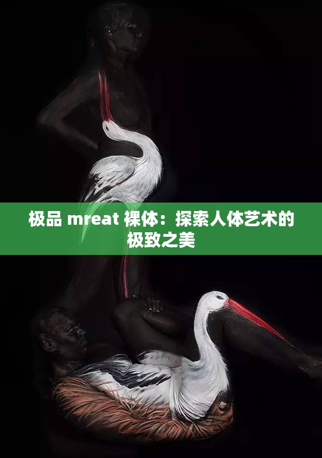 极品 mreat 裸体：探索人体艺术的极致之美