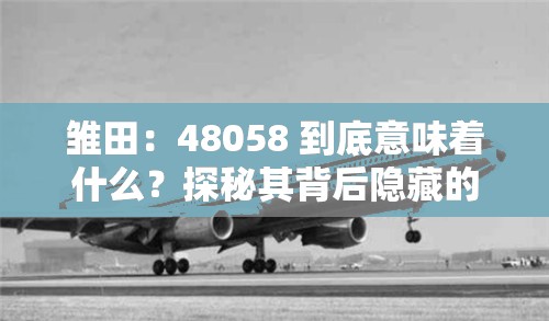 雏田：48058 到底意味着什么？探秘其背后隐藏的故事与深意