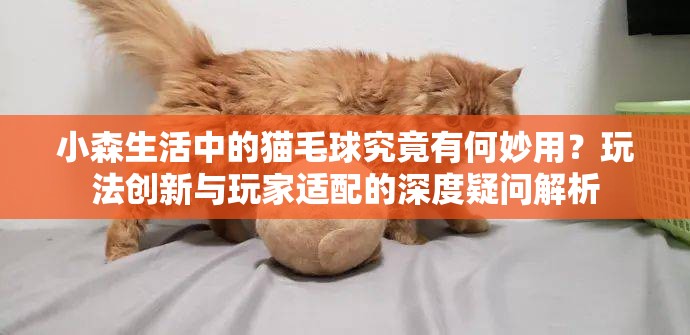 小森生活中的猫毛球究竟有何妙用？玩法创新与玩家适配的深度疑问解析