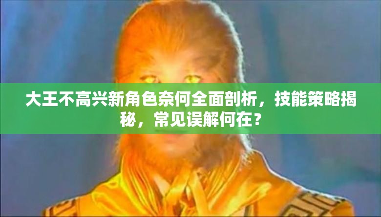 大王不高兴新角色奈何全面剖析，技能策略揭秘，常见误解何在？