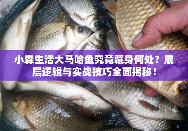 小森生活大马哈鱼究竟藏身何处？底层逻辑与实战技巧全面揭秘！