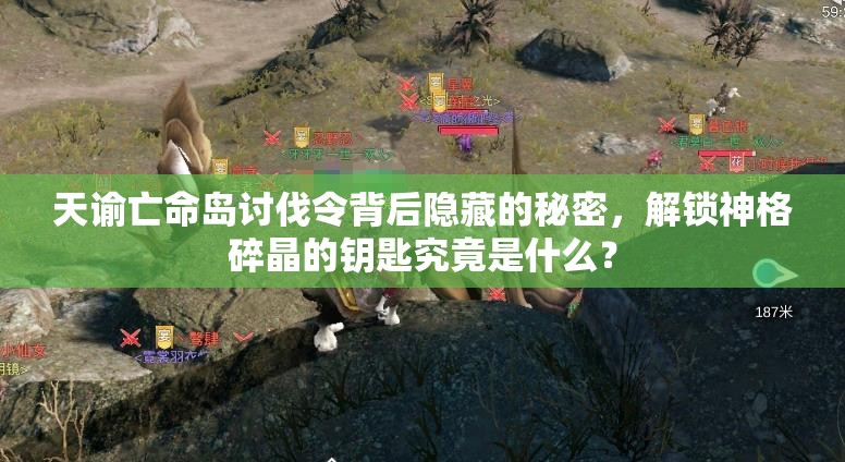 天谕亡命岛讨伐令背后隐藏的秘密，解锁神格碎晶的钥匙究竟是什么？