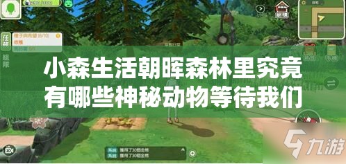 小森生活朝晖森林里究竟有哪些神秘动物等待我们的探索？