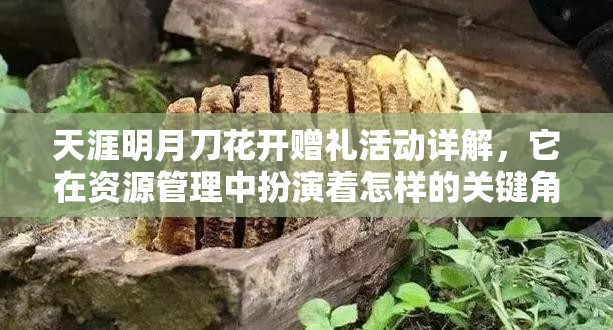 天涯明月刀花开赠礼活动详解，它在资源管理中扮演着怎样的关键角色？