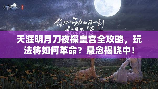 天涯明月刀夜探皇宫全攻略，玩法将如何革命？悬念揭晓中！