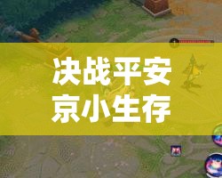 决战平安京小生存模式技能书如何演变？揭秘其发展历程的悬念