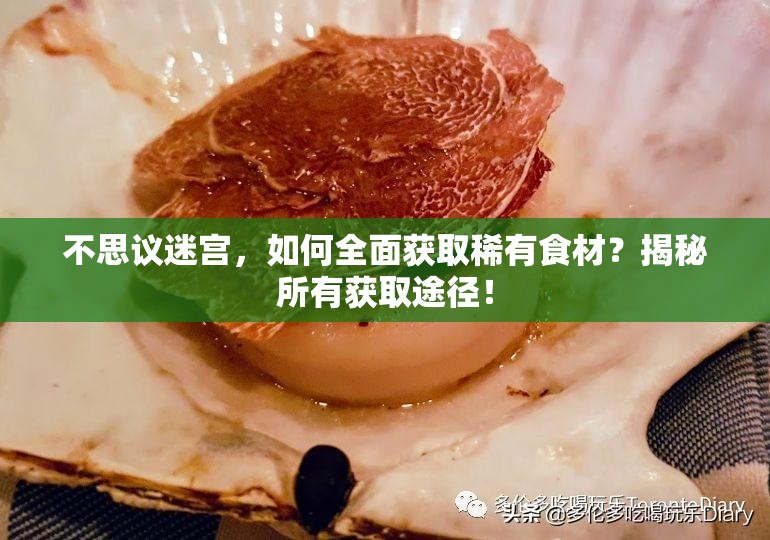 不思议迷宫，如何全面获取稀有食材？揭秘所有获取途径！