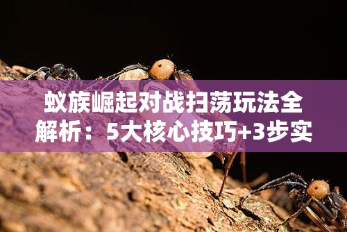 蚁族崛起对战扫荡玩法全解析：5大核心技巧+3步实战攻略助你掌握扫荡规则与制胜策略